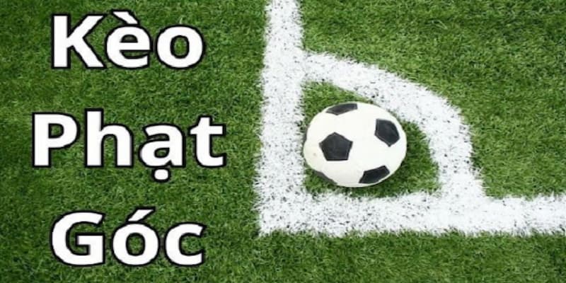 Chiến thuật hiệu qảu khi soi kèo phạt góc