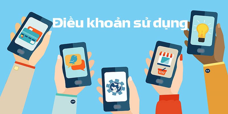 Nội dung chính trong điều khoản và dịch vụ