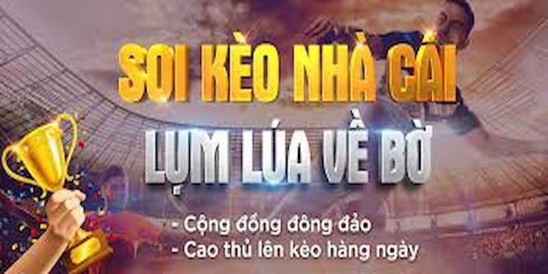 Soi kèo nhà cái rất quan trọng