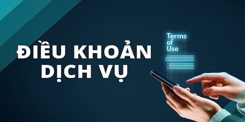 Vai trò của điều khoản và dịch vụ